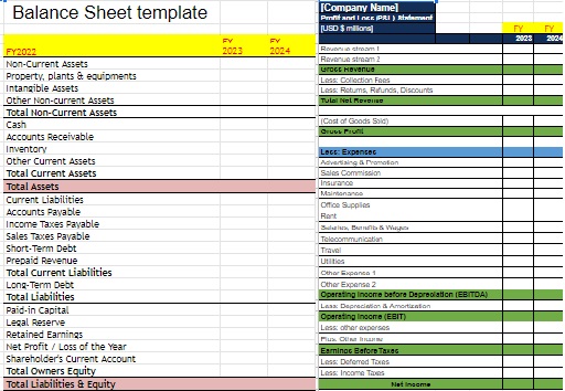 balance sheet and Profit and Loss (P_L) Statement